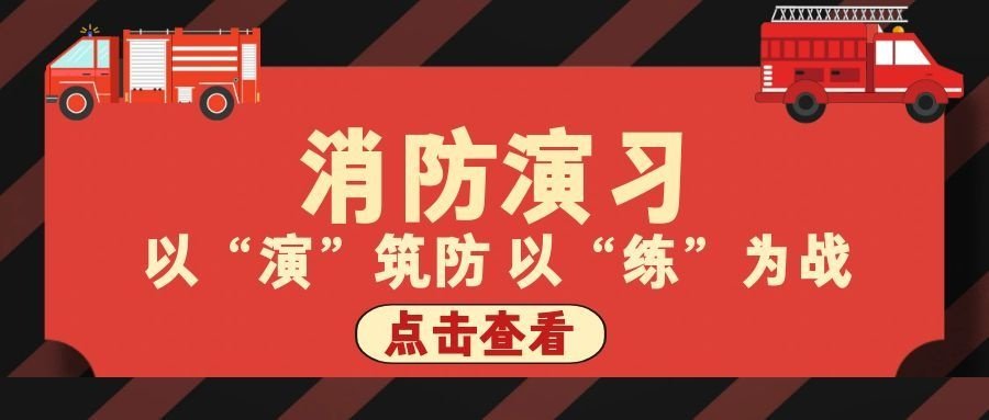 并拥有一支结构合理